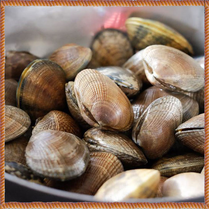 Top Neck Clams (50ct) – Florida Stone Crab